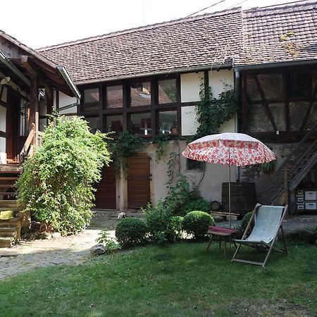 Villa Le temps des cigognes à Barr Extérieur photo