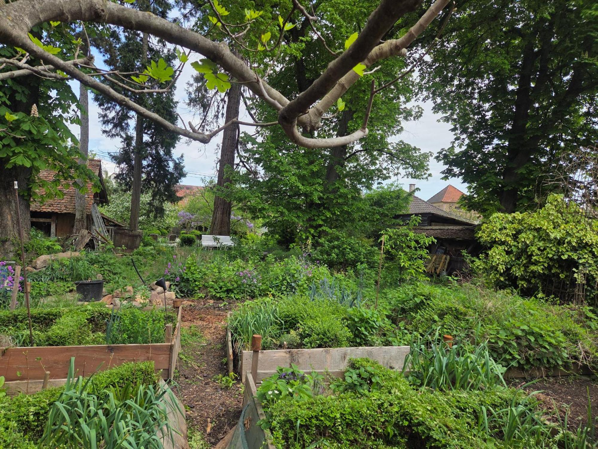 Villa Le temps des cigognes à Barr Extérieur photo