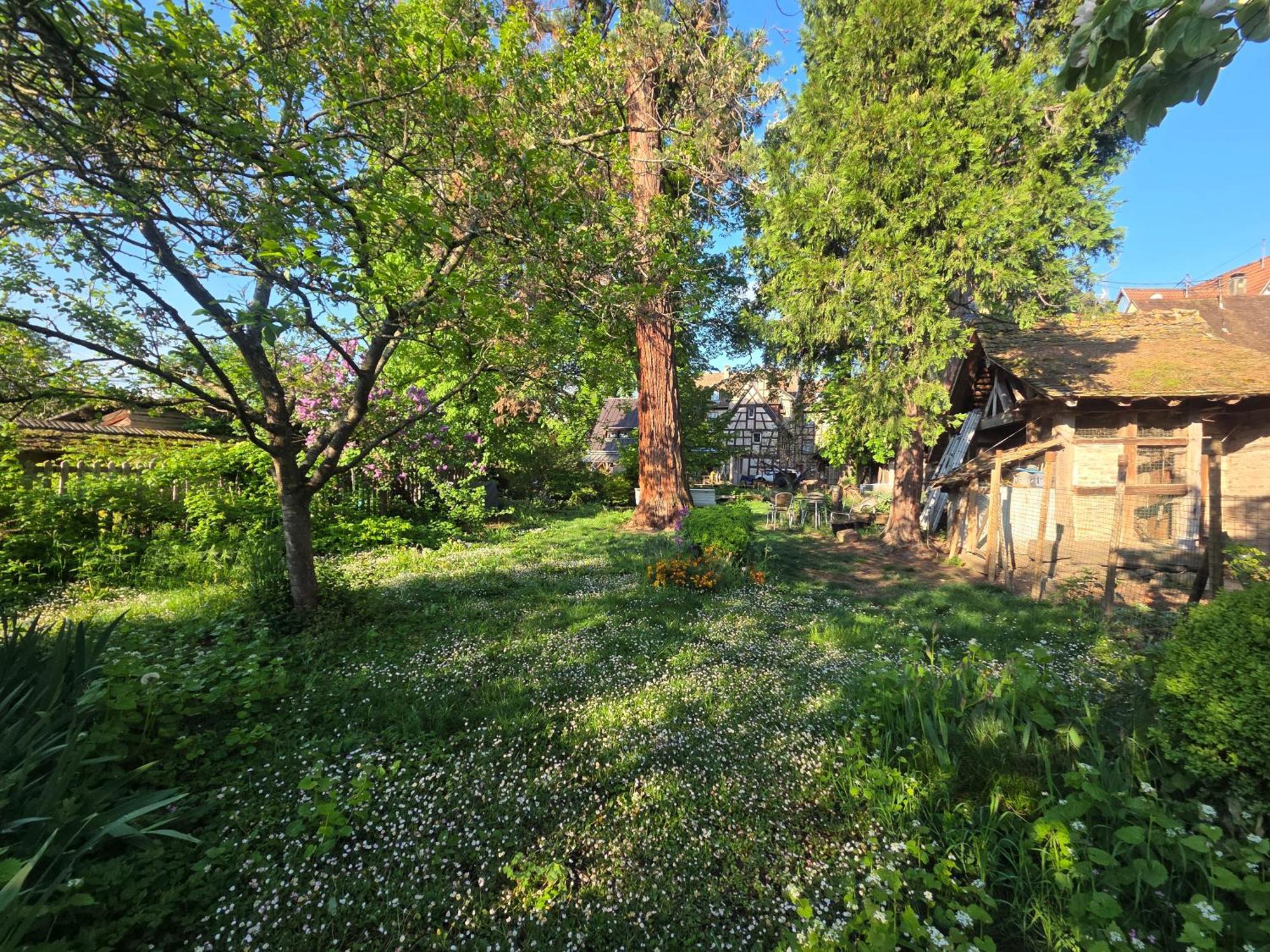 Villa Le temps des cigognes à Barr Extérieur photo