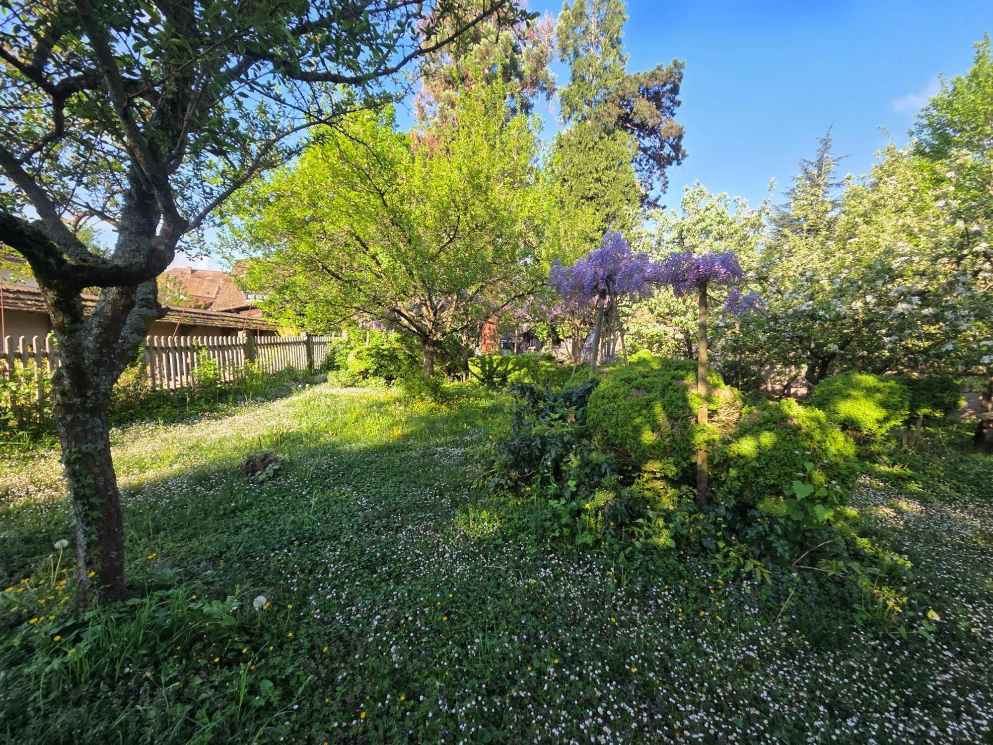 Villa Le temps des cigognes à Barr Extérieur photo