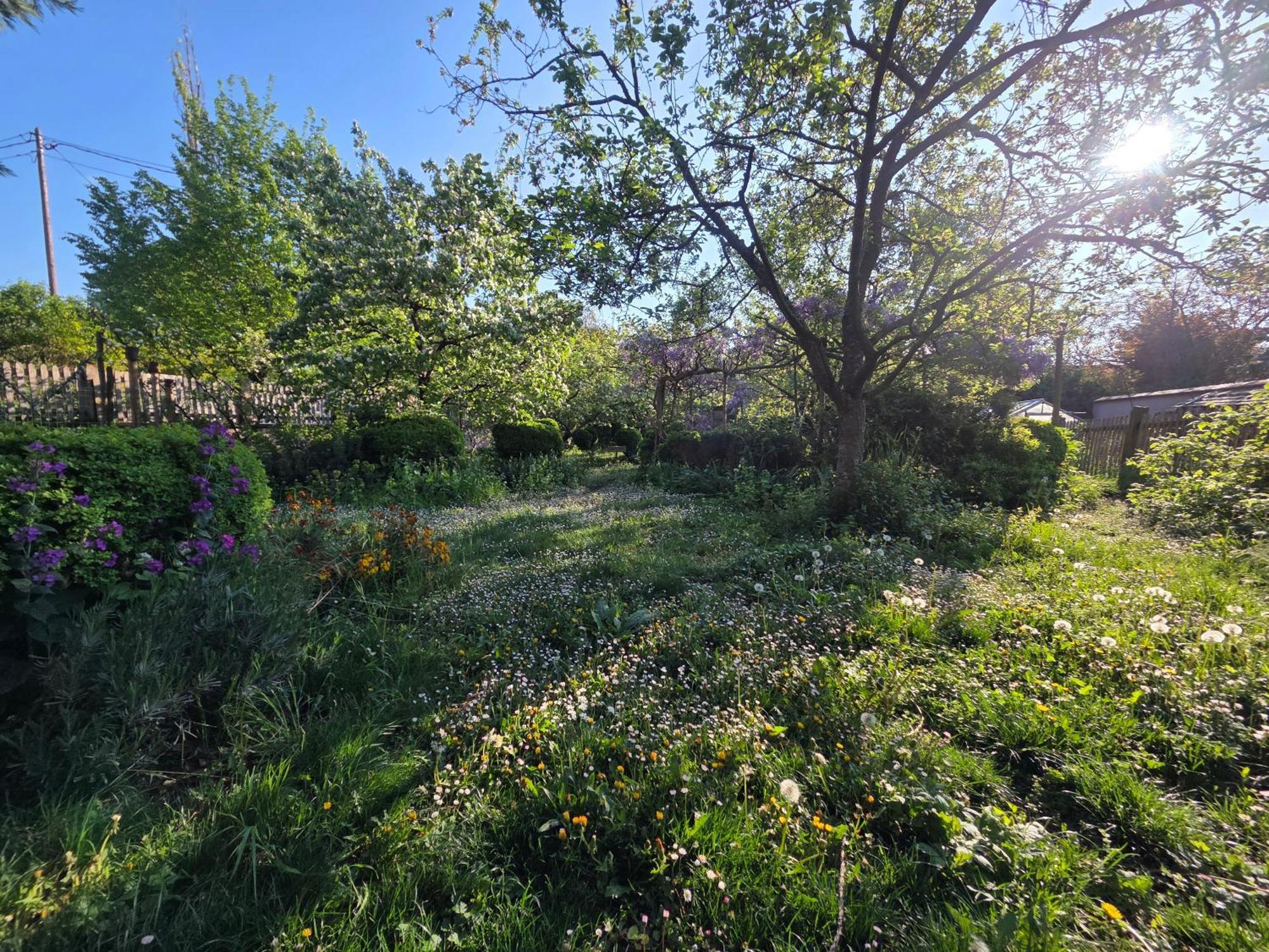 Villa Le temps des cigognes à Barr Extérieur photo