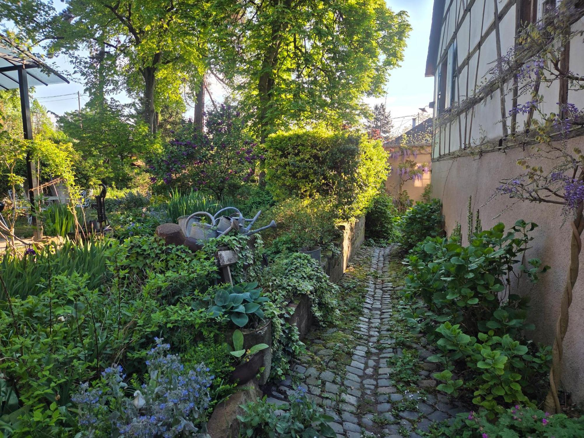 Villa Le temps des cigognes à Barr Extérieur photo