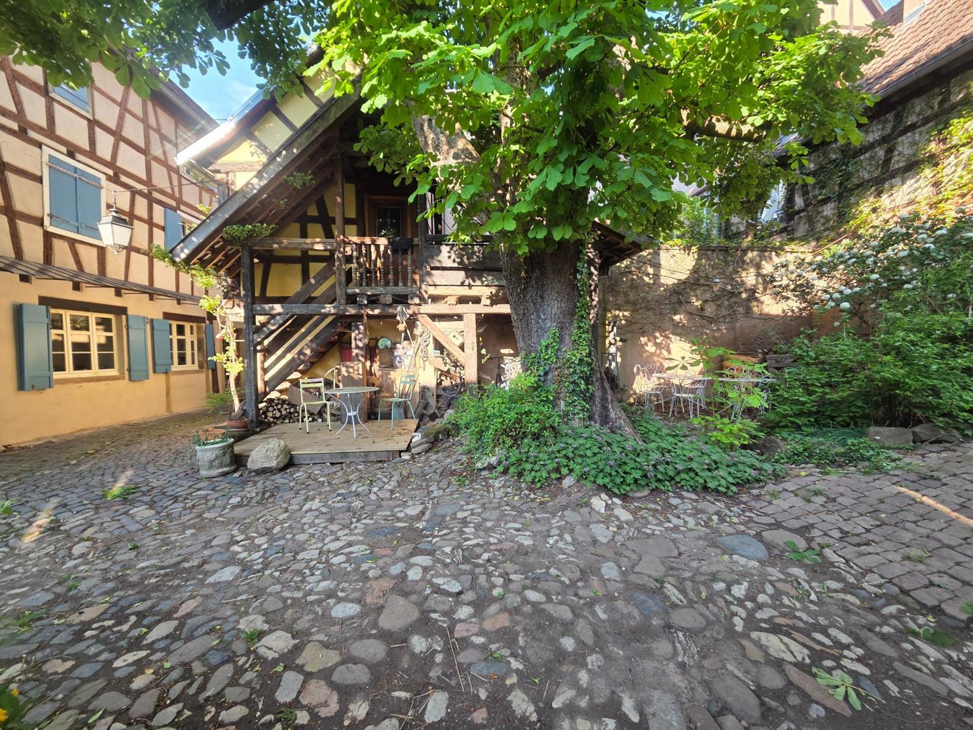 Villa Le temps des cigognes à Barr Extérieur photo