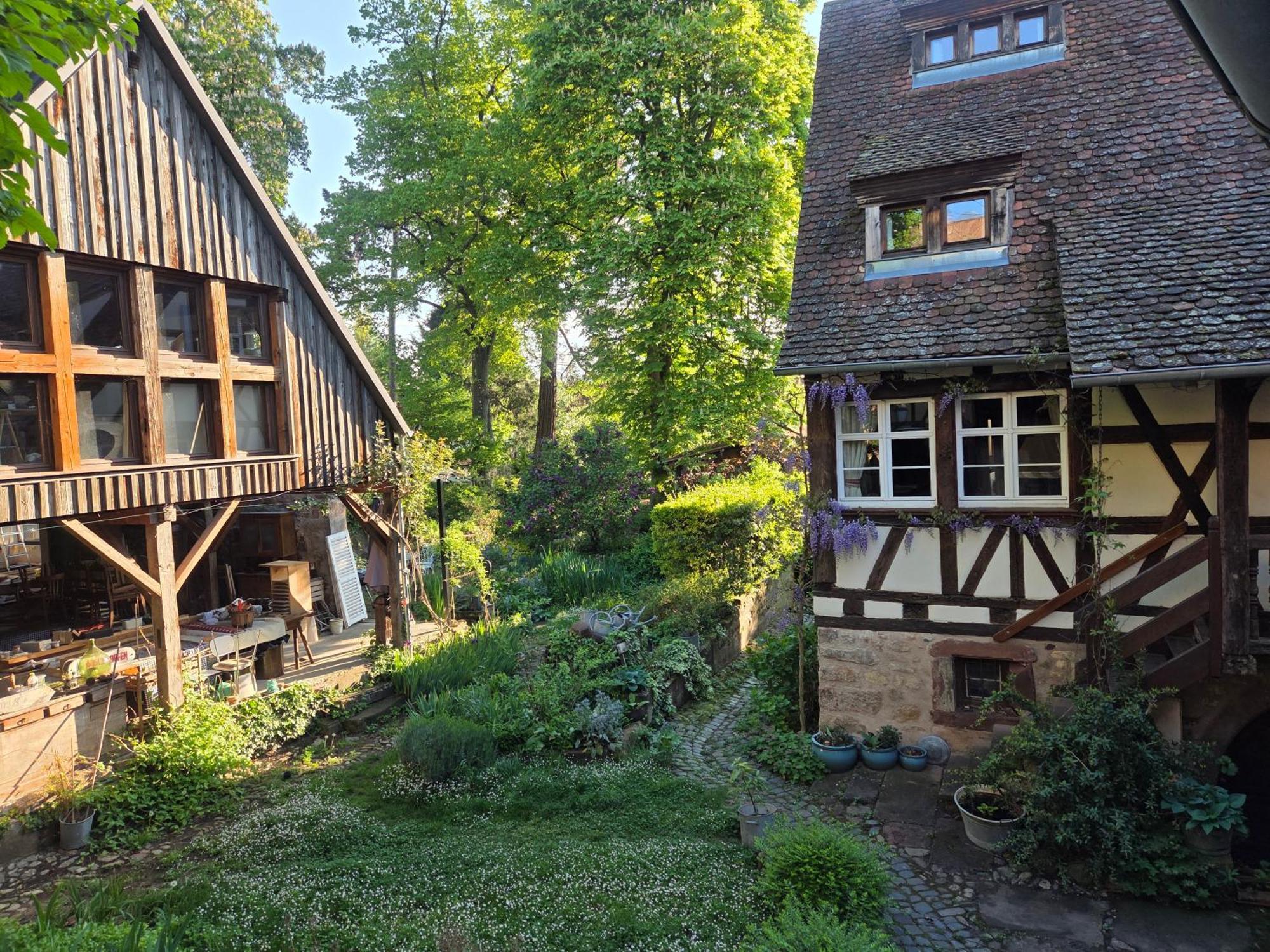 Villa Le temps des cigognes à Barr Extérieur photo