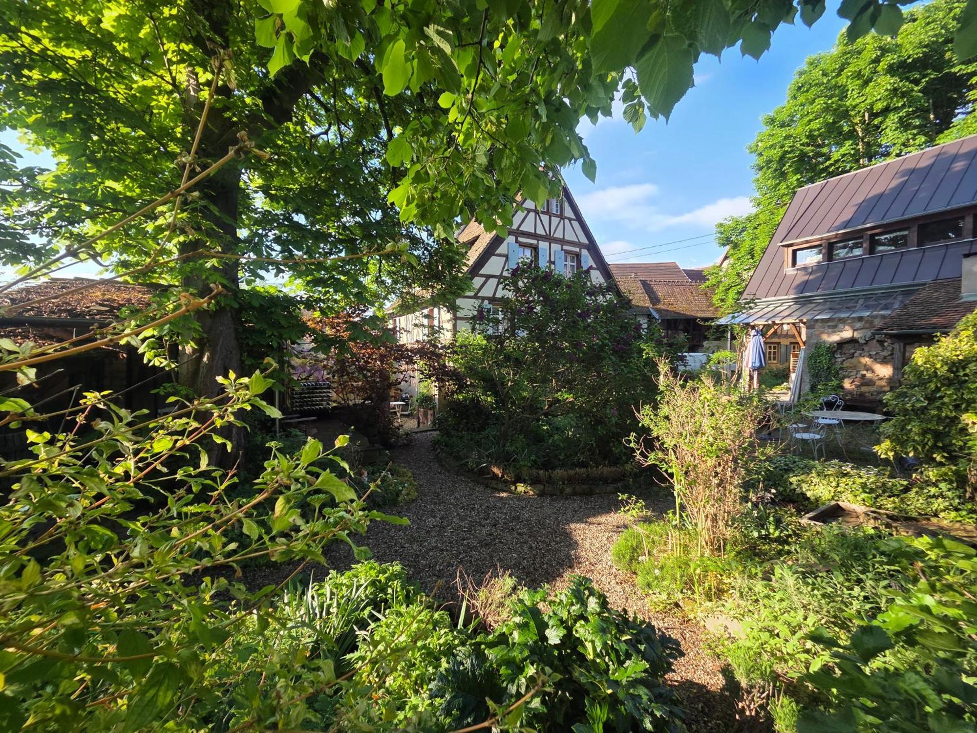 Villa Le temps des cigognes à Barr Extérieur photo