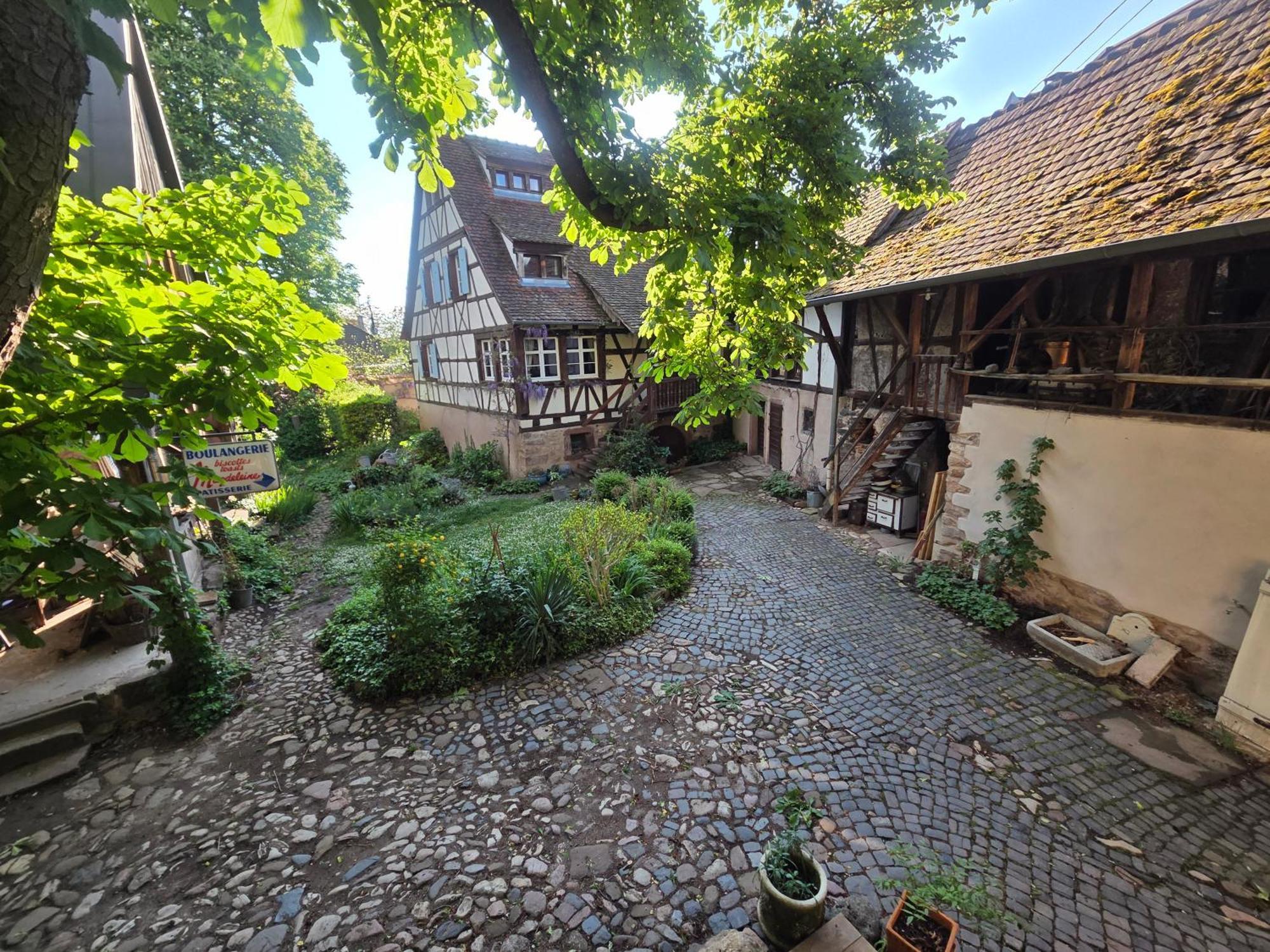 Villa Le temps des cigognes à Barr Extérieur photo