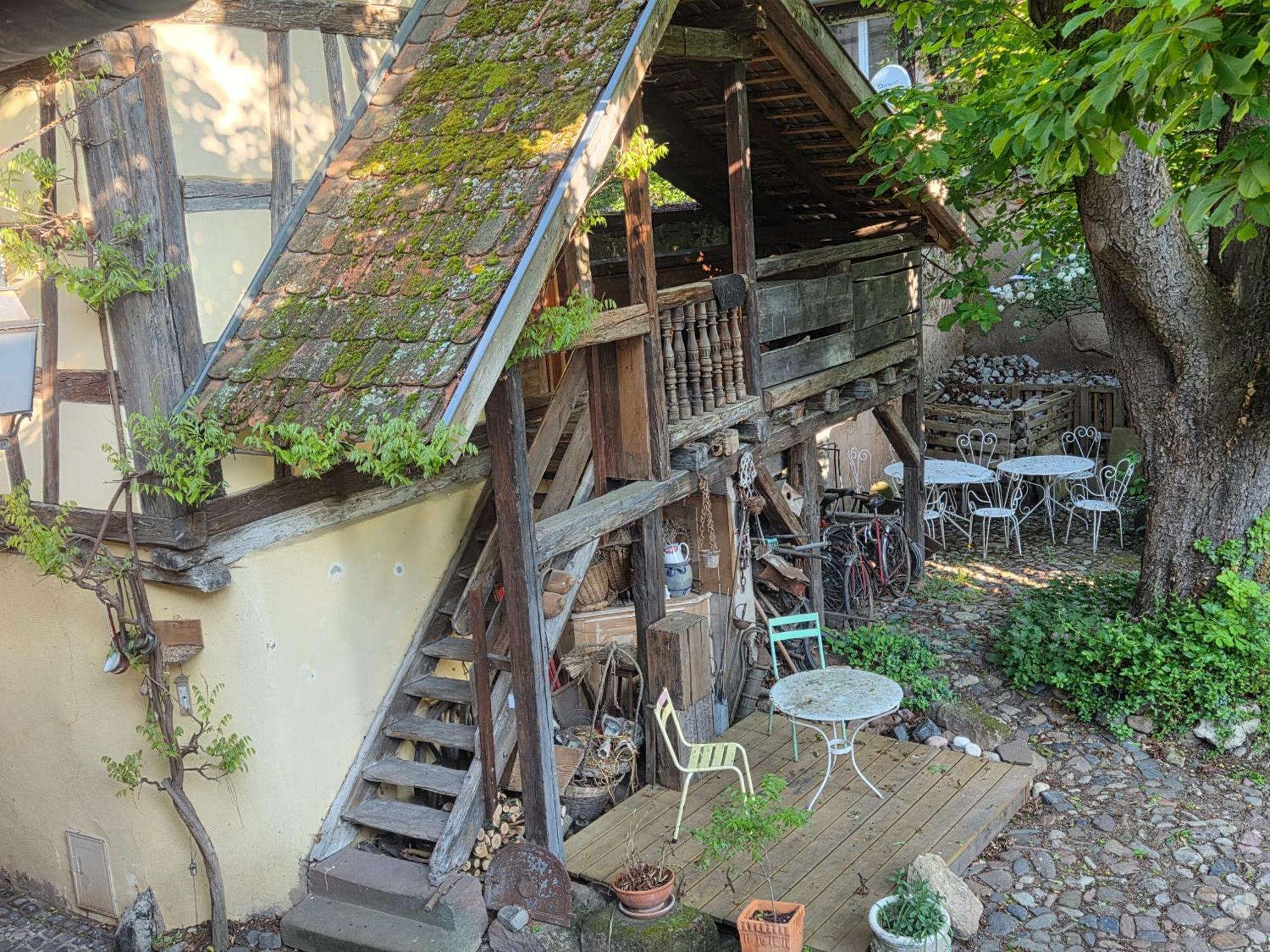 Villa Le temps des cigognes à Barr Extérieur photo