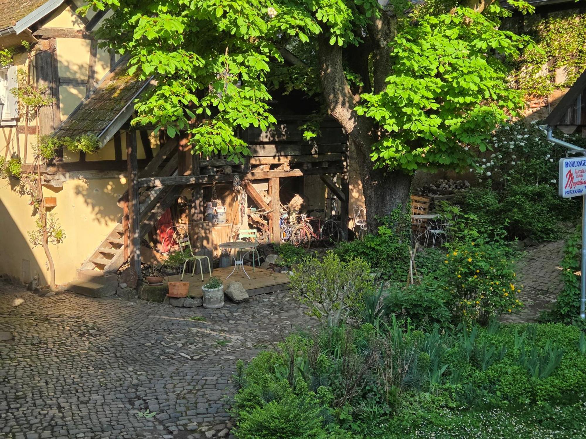 Villa Le temps des cigognes à Barr Extérieur photo