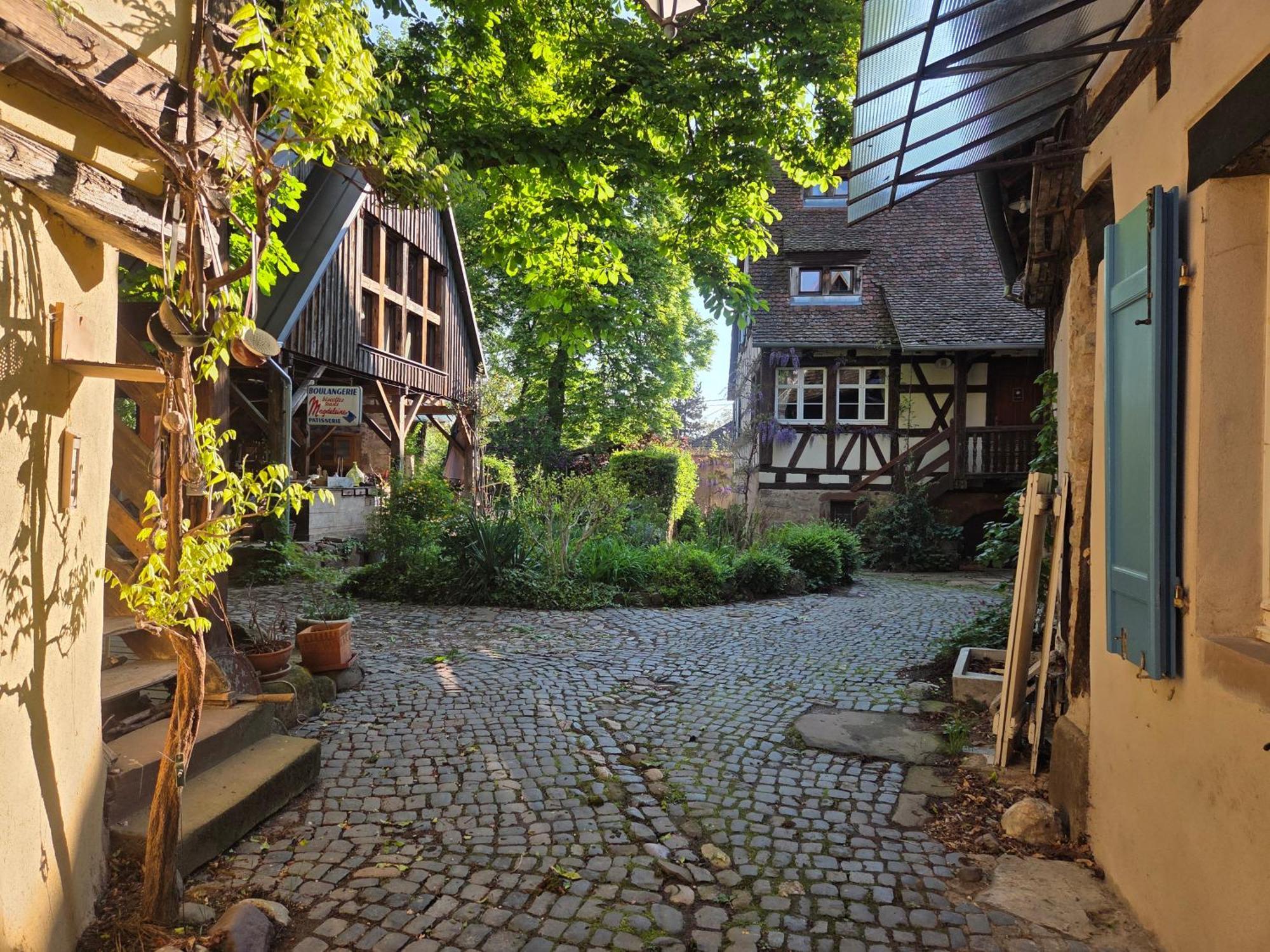Villa Le temps des cigognes à Barr Extérieur photo