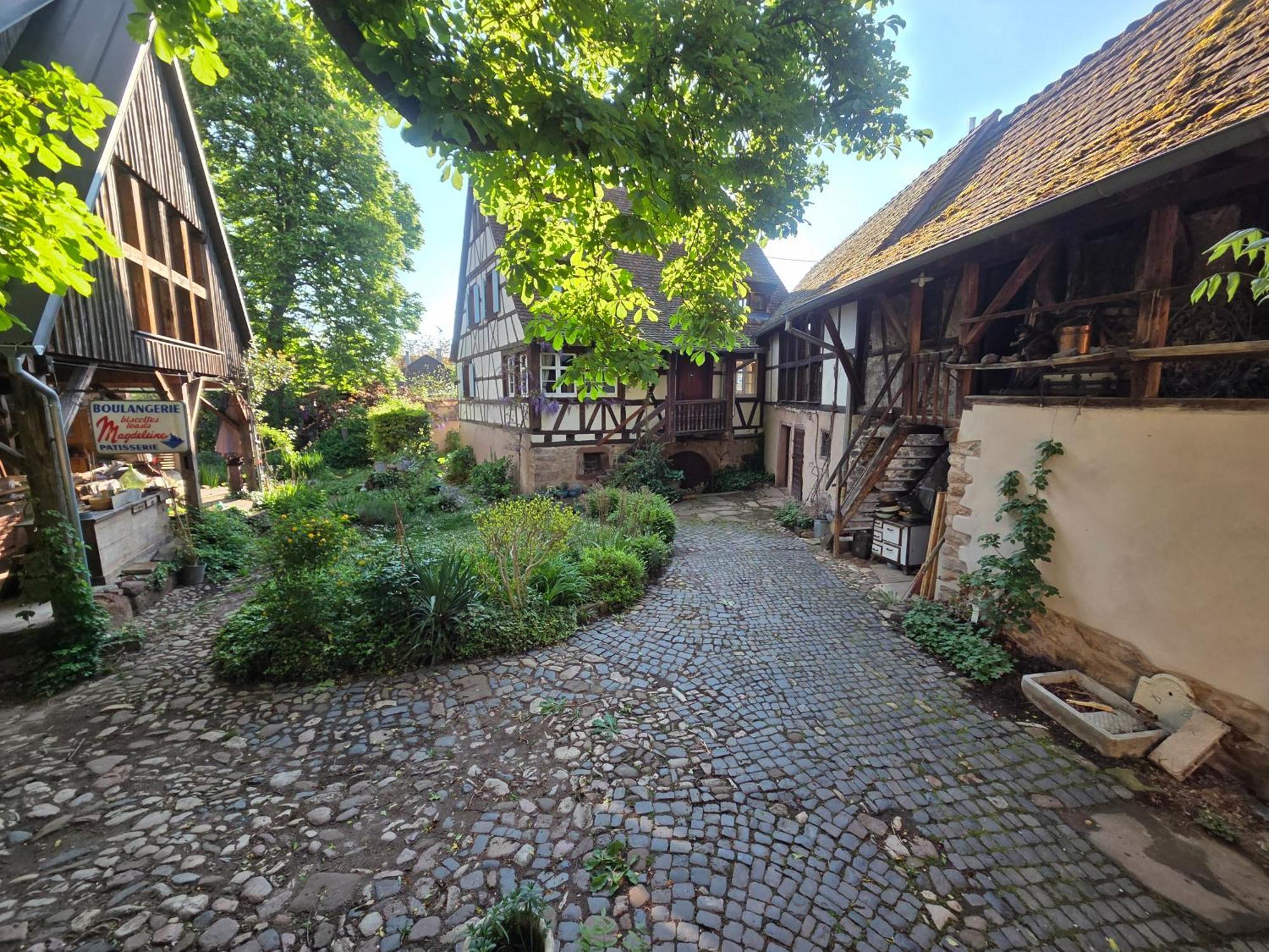 Villa Le temps des cigognes à Barr Extérieur photo