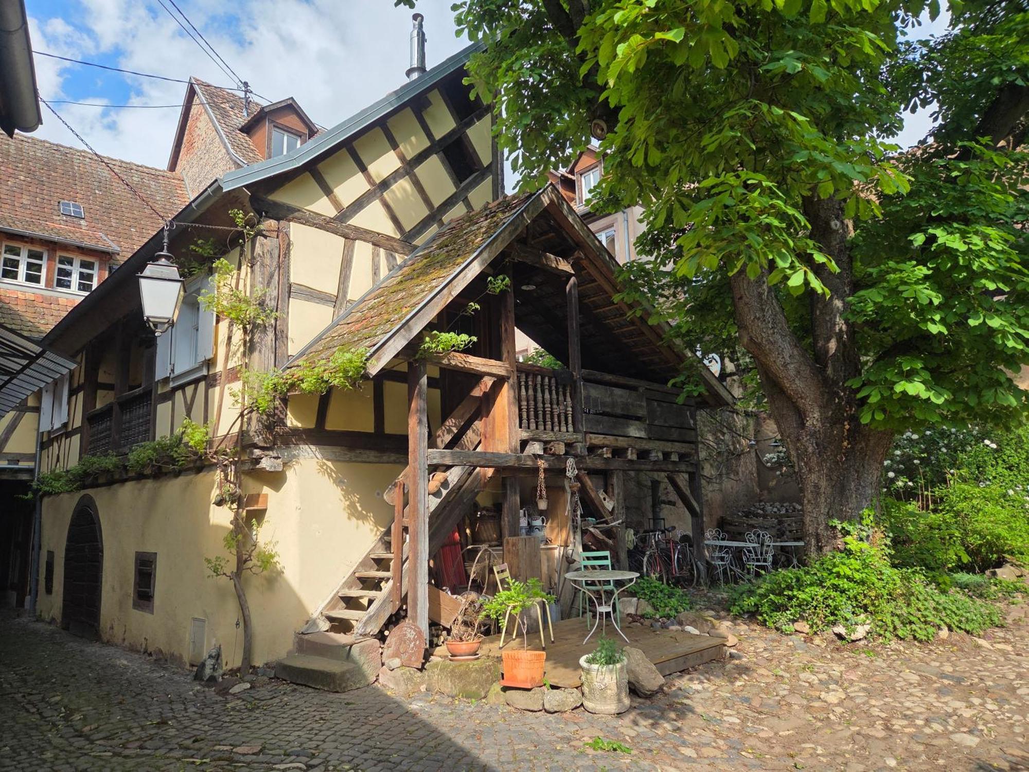 Villa Le temps des cigognes à Barr Extérieur photo