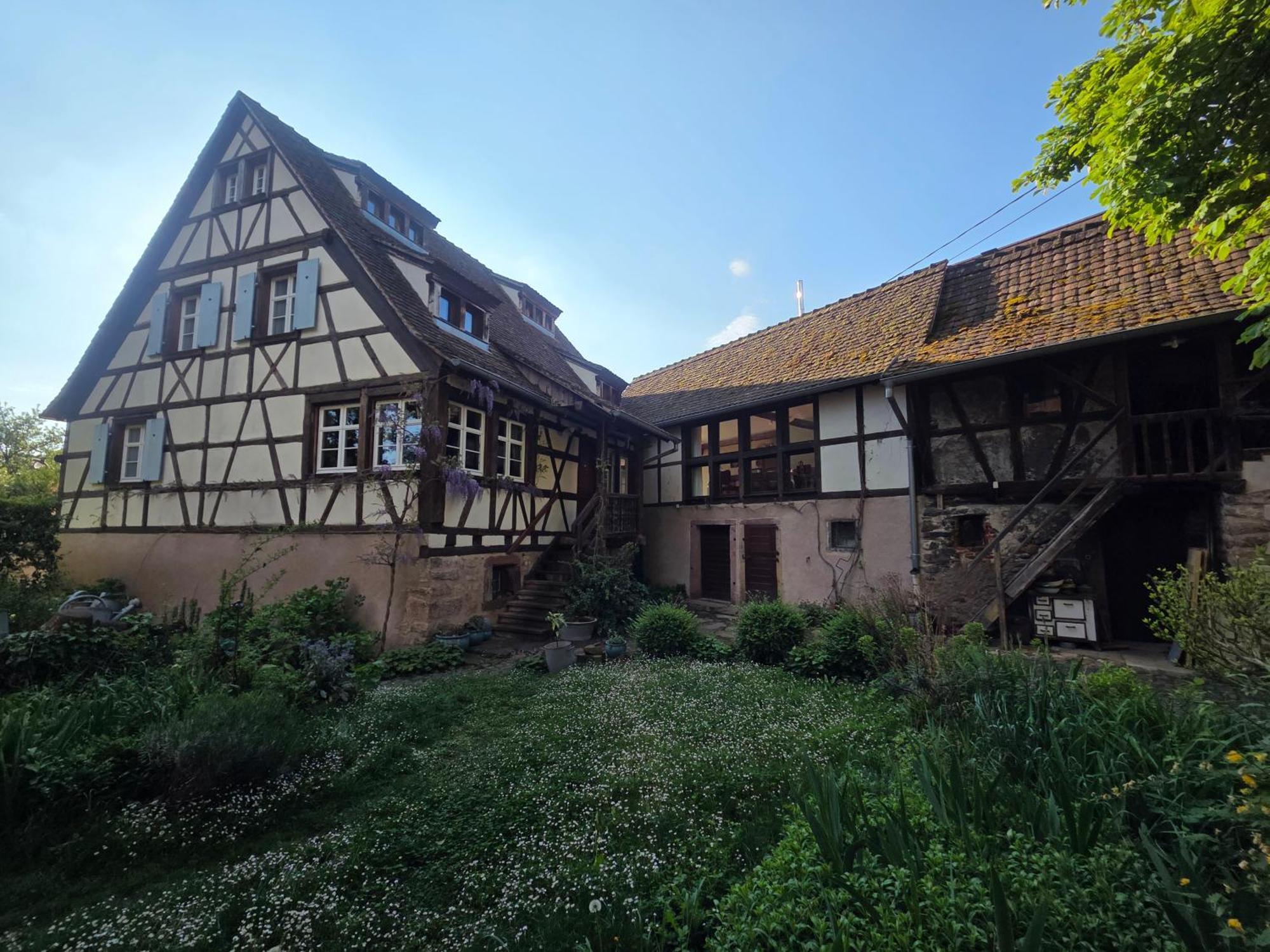 Villa Le temps des cigognes à Barr Extérieur photo