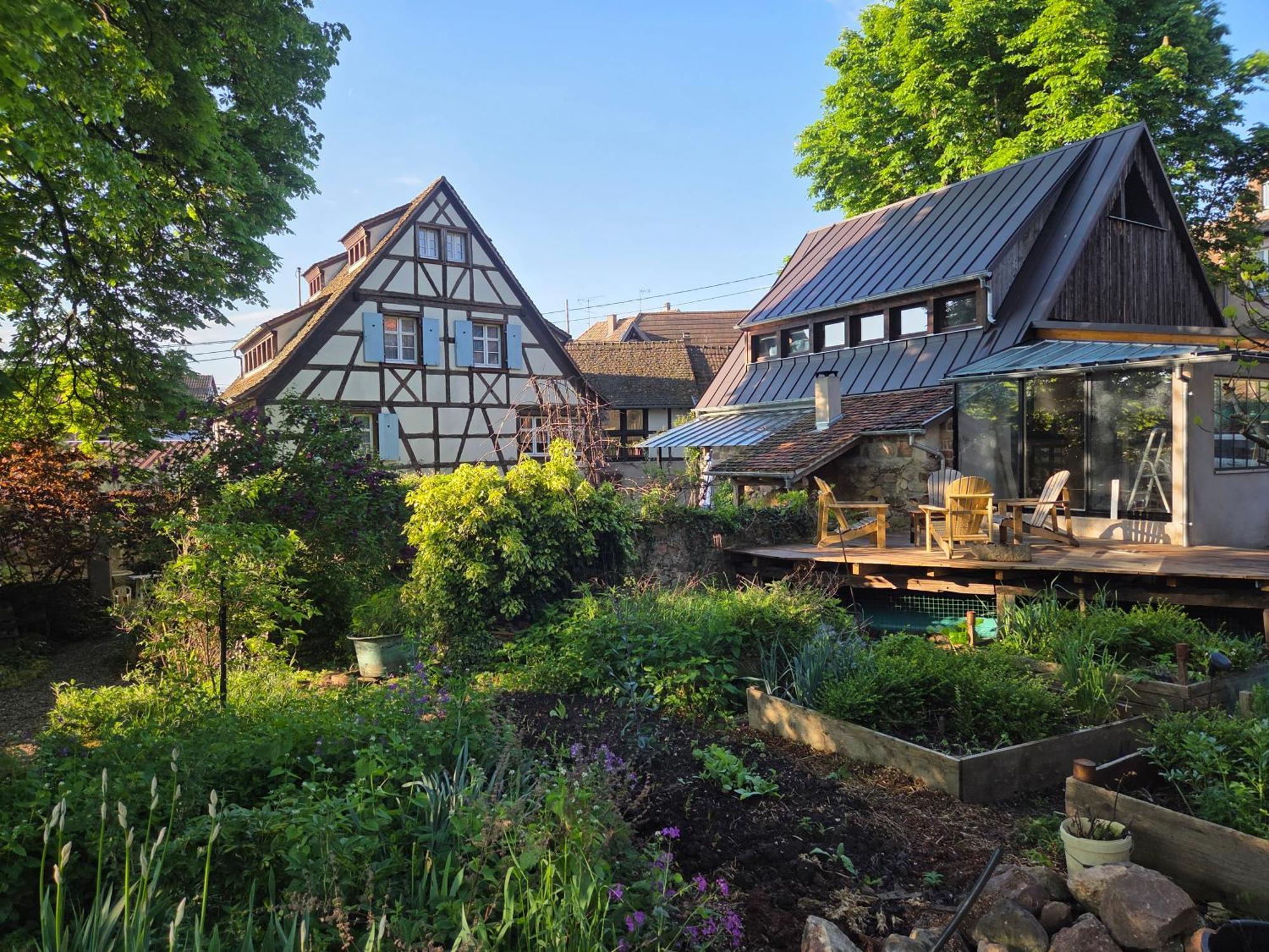 Villa Le temps des cigognes à Barr Extérieur photo