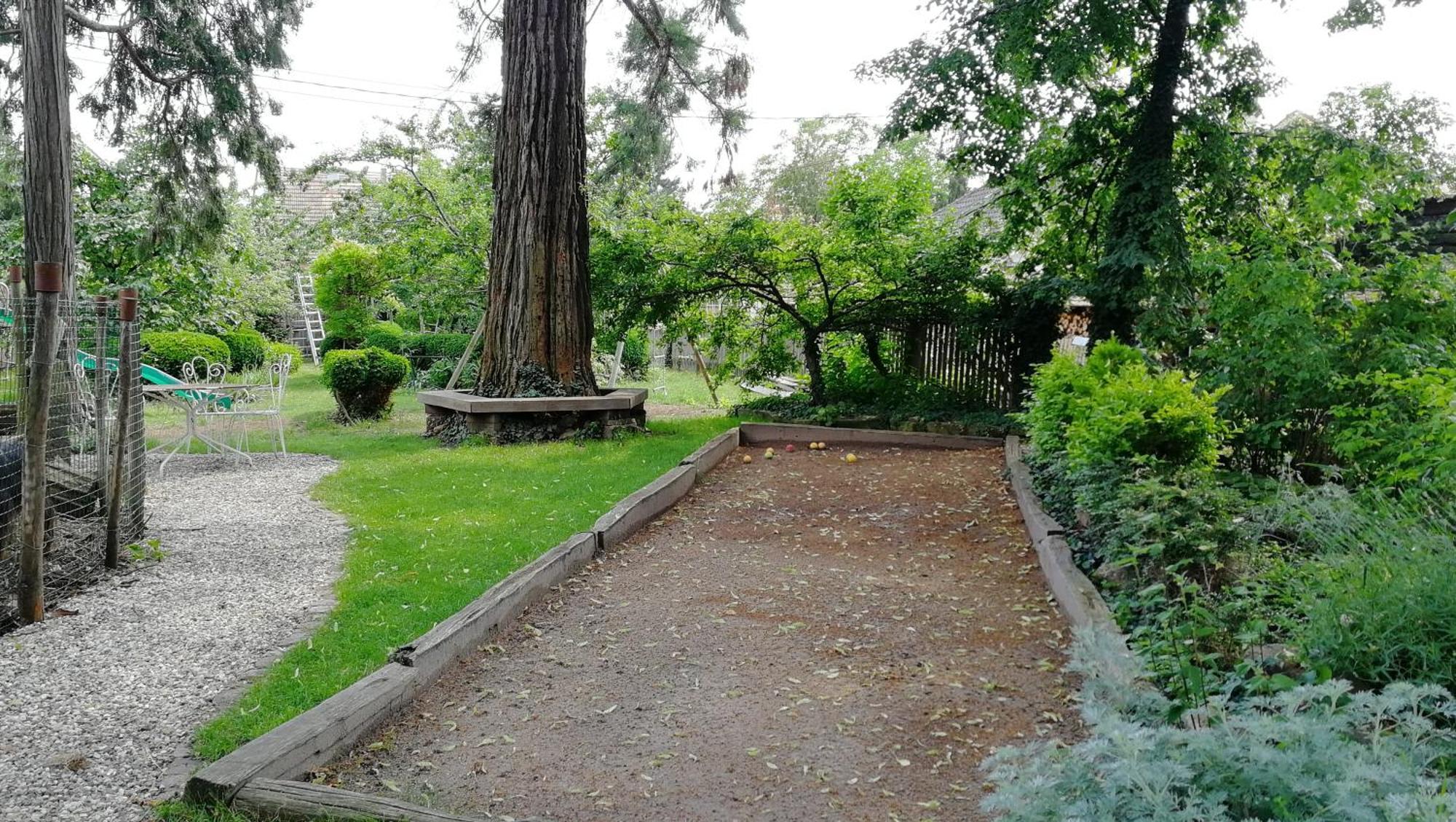 Villa Le temps des cigognes à Barr Extérieur photo