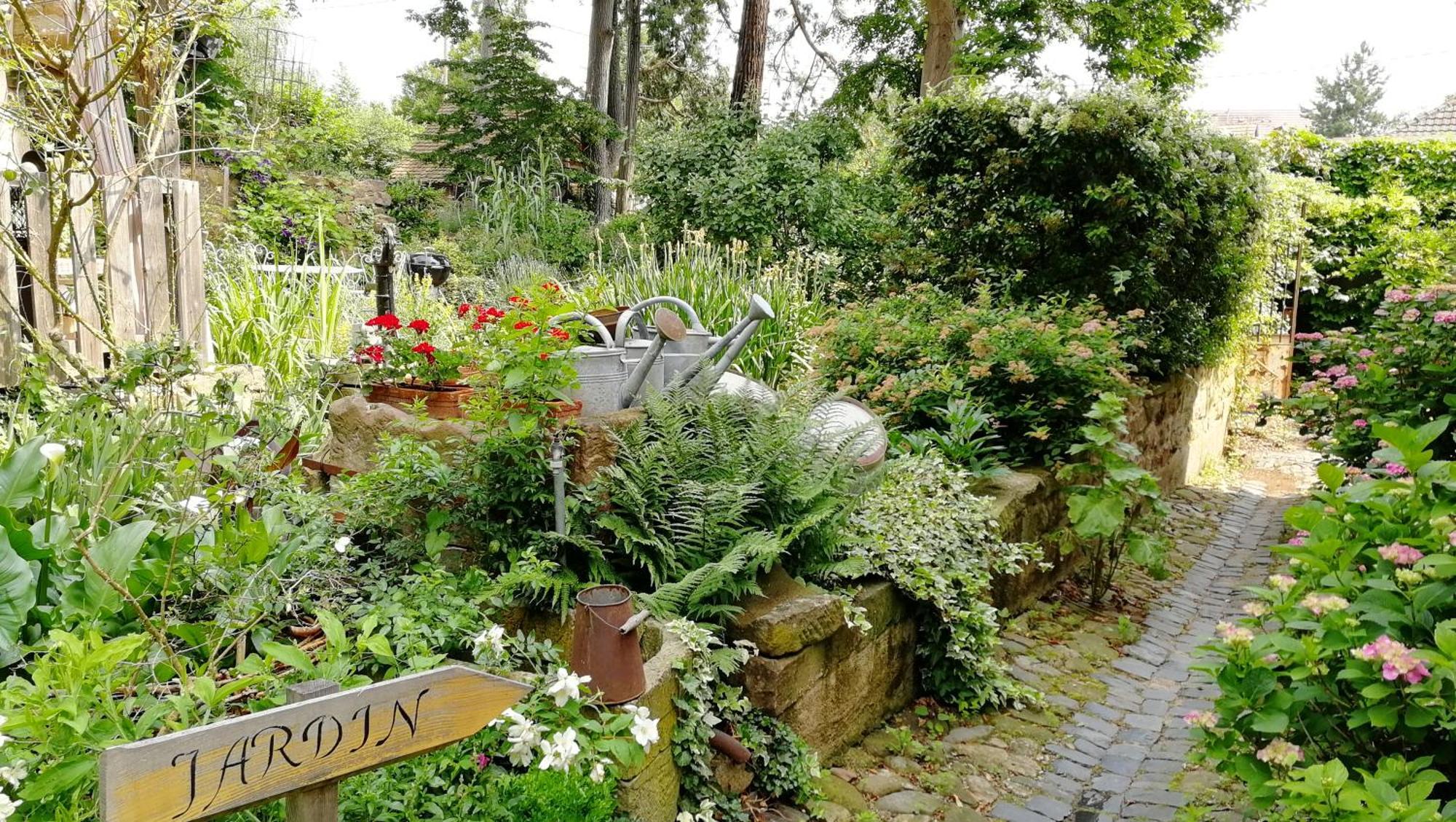 Villa Le temps des cigognes à Barr Extérieur photo