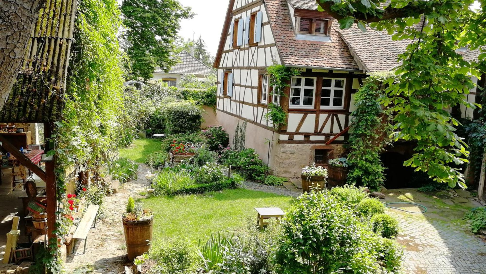 Villa Le temps des cigognes à Barr Extérieur photo