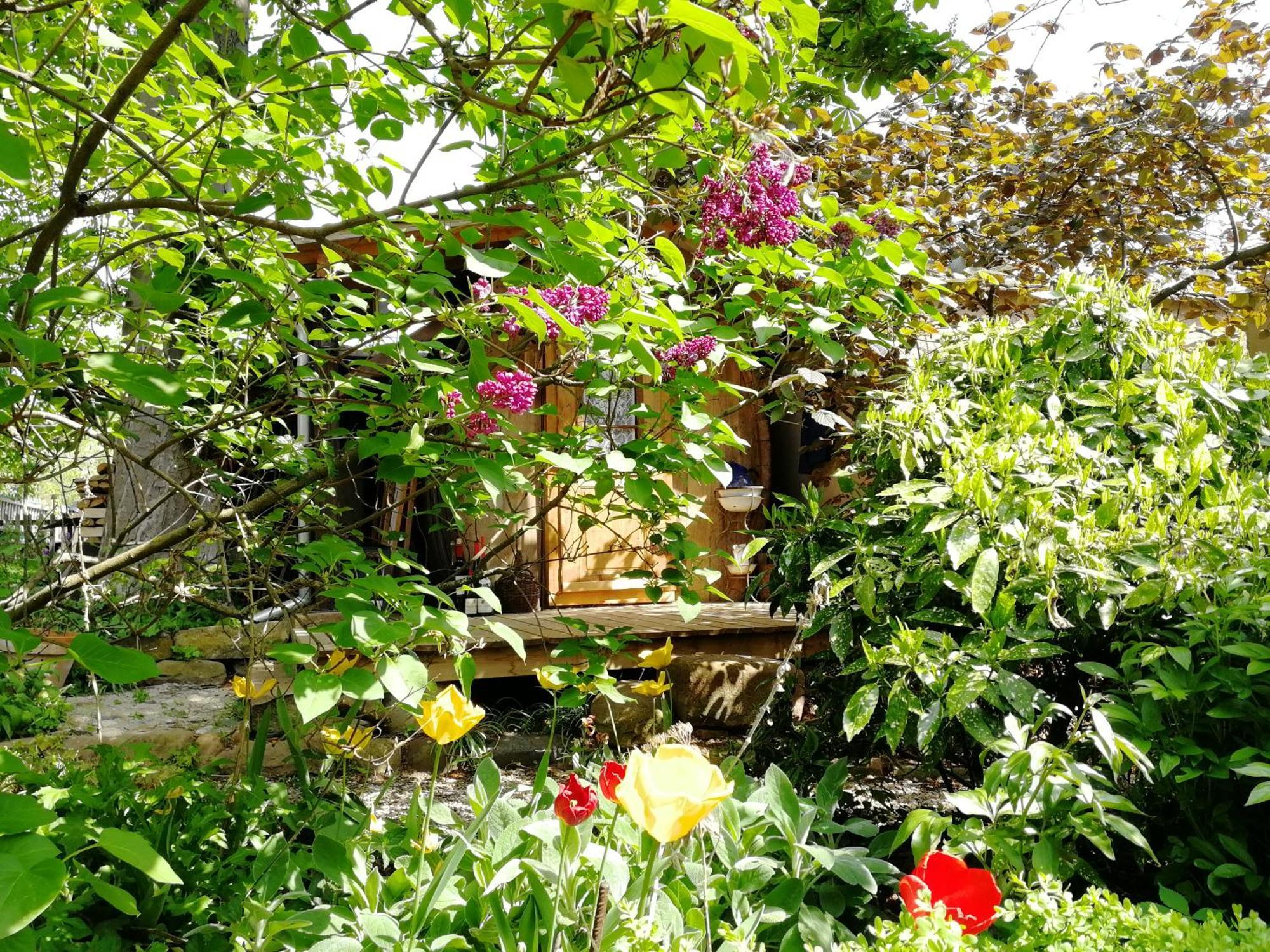 Villa Le temps des cigognes à Barr Extérieur photo